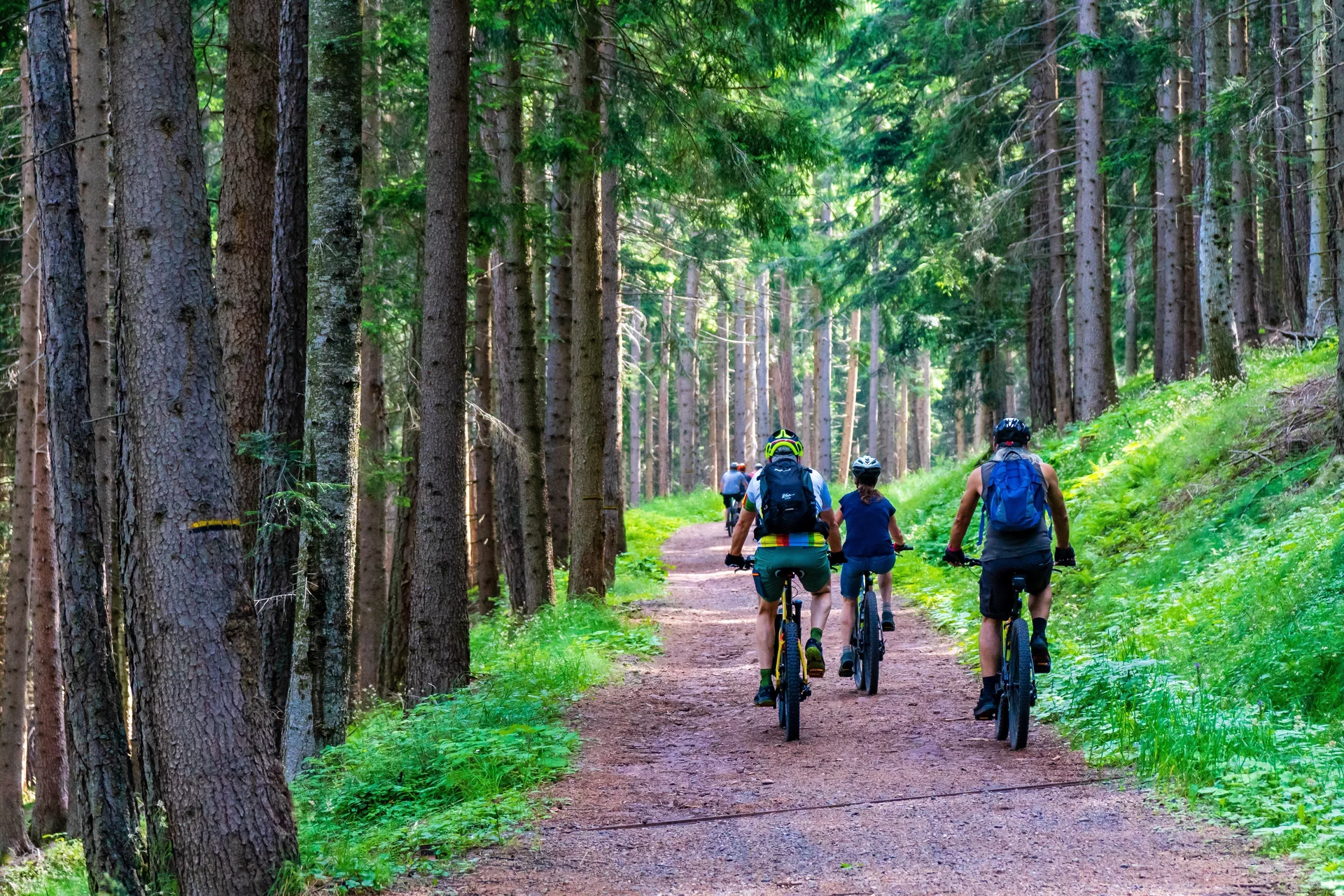 Biking