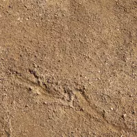 Moderate Dirt Roads, Trails & Doubletrack